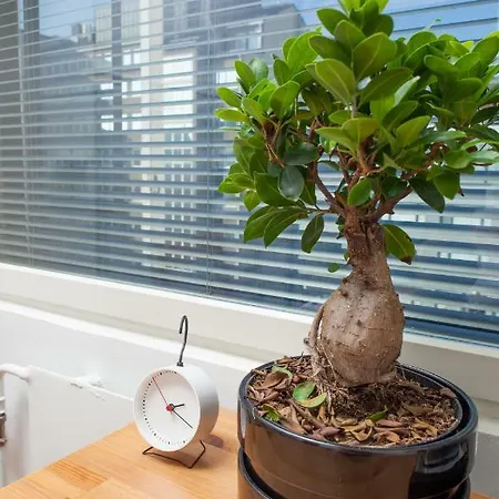 Here Kamppi * Helsingfors