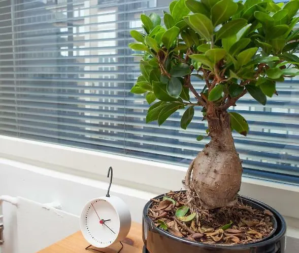 Here Kamppi * ヘルシンキ